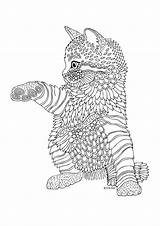 Coloring Pages Kitten Cat Rocks Adult Cute sketch template