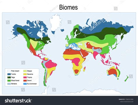 biomes color map main biomes world vector illustration royalty