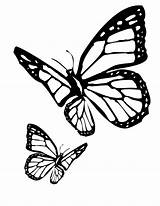 Butterfly Coloring Pages Drawing Butterflies Tattoo Monarch Side Stencils Printable Designs Outline Stencil Flying Realistic Impressive Golfian Crazy Getdrawings Vector sketch template