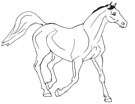 cool horse coloring pages  printable coloringfoldercom horse