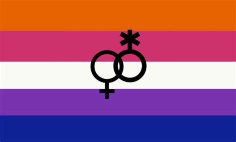 bi lesbian flag for ppl only attracted to women and non binary people
