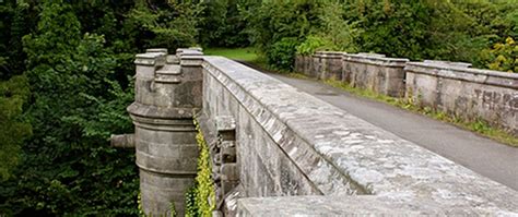 overtoun bridge   dogs jump   deaths