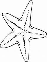 Estrella Starfish Etoile Estrela Estrellas Dibujos Estrelas Encequiconcerne Marinas Conchas Educación Menta Greatestcoloringbook Seahorse Ahiva Piasta Clax sketch template