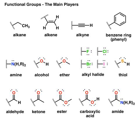 functional groups  organic chemistry