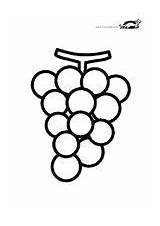 Druiven Krokotak Druiventros Kleurprent Grapes Grape sketch template
