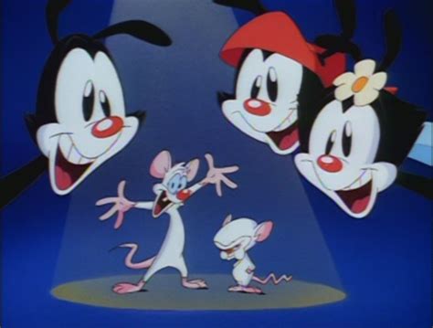 1000 images about animaniacs on pinterest best cartoons bologna and brother