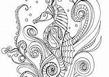 Coloring4free Seahorse sketch template
