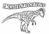 Pachycephalosaurus Dinossauros sketch template