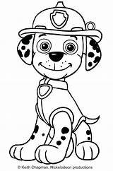 Patrol Paw Characters Pages Coloring Printable Getcolorings Colouring Print sketch template