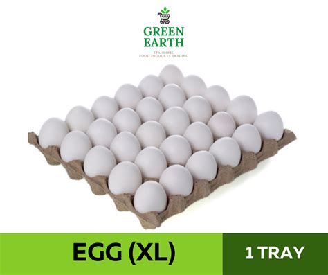 green earth fresh eggs xl  tray lazada ph
