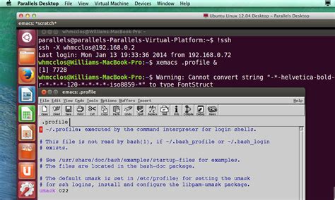 xterm program  versatile terminal emulator    window
