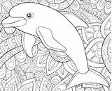 Dolphin Dolphins sketch template