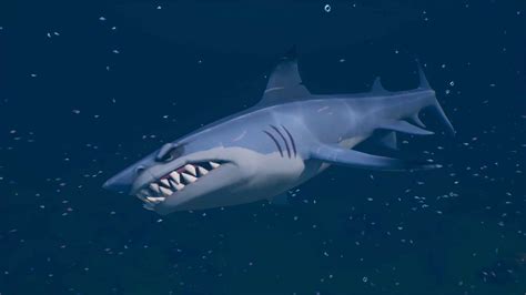 fortnite season  advert features sharks fortnite insider