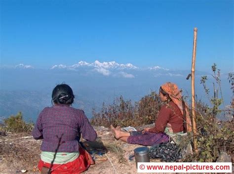 nepali bhalu chikeko free people check with news