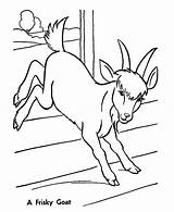 Goat Coloring Pages Baby Frisky Goats Color Printable Online Livestock Getcolorings Print Young sketch template