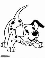 Coloring Dalmatian Dalmatians Disneyclips sketch template