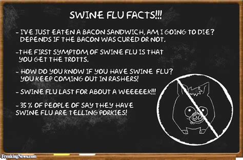 Swine Flu Jokes Funny