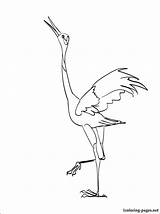 Coloring Crane Pages Printable Getcolorings sketch template