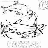 Catfish Coloring Pages Getcolorings Color sketch template