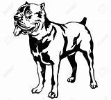 Cane Corso Clip Dog Vector Standing Decorative Portrait Stock Dogs Italiano Clipground Depositphotos sketch template