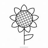 Girassol Girasole Girasol Sonnenblume Stampare Ultracoloringpages sketch template