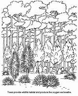 Coloring Pages Forest Print Kids sketch template