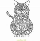 Katzen Malvorlage sketch template