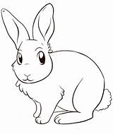 Rabbit Coloring Drawing Bunny Pages Animal sketch template