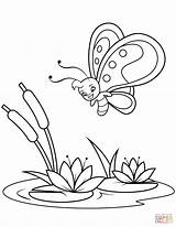 Coloring Butterfly Pages Water Cute Lilies Flies Reeds Over Supercoloring Drawing Printable sketch template