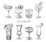 Cocktails Alcoholic Martini sketch template
