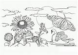 Coloring Nature Pages Kids Printable sketch template