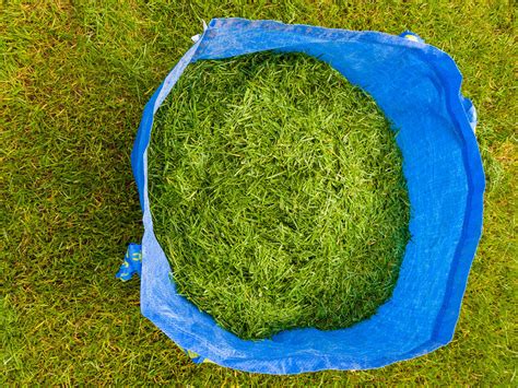 wat te doen met gemaaid gras tips voor het recyclen van gemaaid gras meerweten