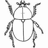 Coloring Beetles Dung Escarabajo Animalstown Freeprintablecoloringpages Beatle Designlooter Insect sketch template
