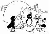 Pingu Coloring Pages Fun Kids sketch template