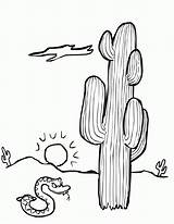 Coloring Cactus sketch template
