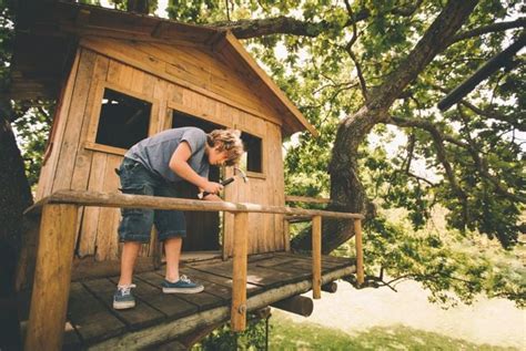 tips  building  treehouse  habitat