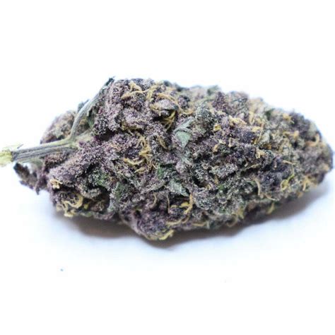 purple queen   buds
