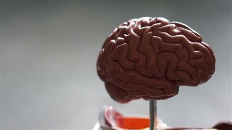 czym jest guz mozgu jakie sa jego przyczyny  objawy serceinfopl