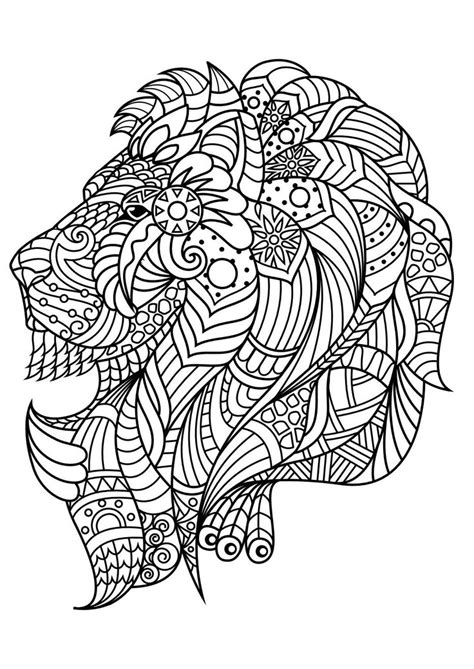 animal coloring pages  adults images  pinterest