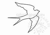 Swallow Bird sketch template