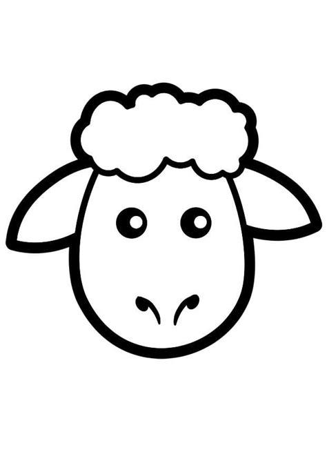 kleurplaat schaap gratis kleurplaten om te printen afb