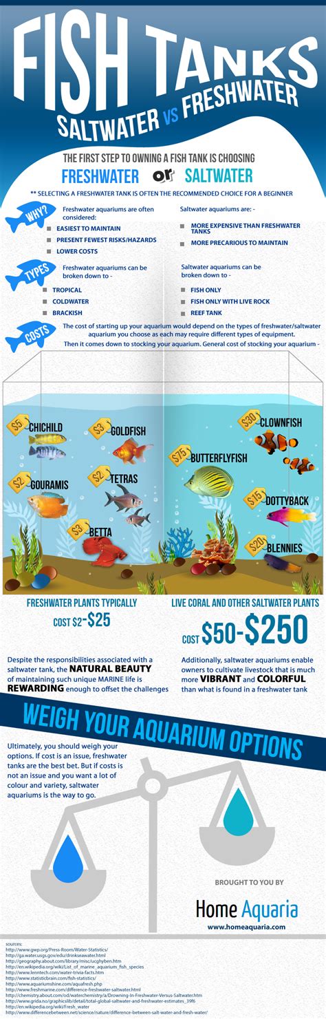 fish tanks saltwater  freshwater visually