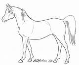 Horse Arabian Coloring Pages Lineart Drawing Horses Deviantart Drawings Printable Color Choose Board Getcolorings sketch template