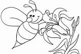 Bee Coloring Pages Bumble Honey Cute Queen Color Beehive Cartoon Outline Printable Drawing Bees Bumblebee Kids Getcolorings Getdrawings Animals Busy sketch template