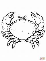 Crab Coloring Pages Claws Big Printable sketch template