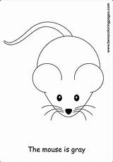 Gray Coloring Grey Color Learning Mouse Designlooter Please Print 1182 69kb Kids sketch template