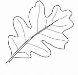 Coloring Leaf Leaves Oak Pages Template Fall Drawing Color Thanksgiving Print Palm Printable Draw Kindergarten Autumn Kids Getdrawings Vines Pumpkin sketch template
