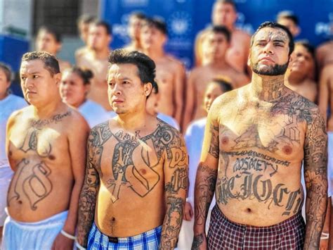 Contabilizan Más De 30 Mil Pandilleros Detenidos En El Salvador En 50