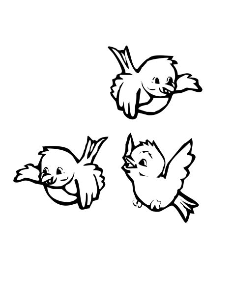 bird coloring pages  coloring kids