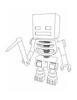 Minecraft Coloring Skeleton Pages Hoe sketch template